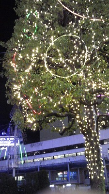 131220_182103.jpg